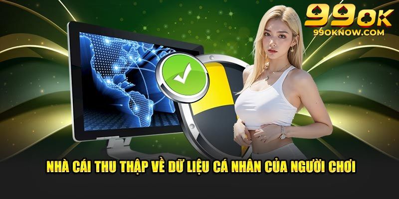 Quy định bảo mật 99OK về việc thu thập dữ liệu hội viên
